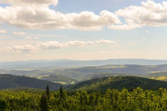 Wieża Widokowa na Szczycie Wielkiej Sowy